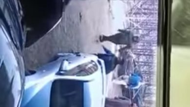 Photo of شاهد بالفيديو: إعتداء على صاحب ورشة بجمجمرة ببنها