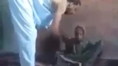 Photo of النائب العام يأمر بحبس متهم بضرب والدته بفاقوس
