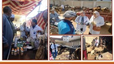Photo of بيطري الشرقية … تنظيم قافلة طبية بيطرية مجانية بمدينة منشأة أبو عمر