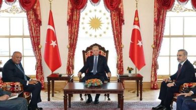 Photo of رئيس الجمهورية التركية يستقبل وزير الخارجية خلال زيارته لإسطنبول